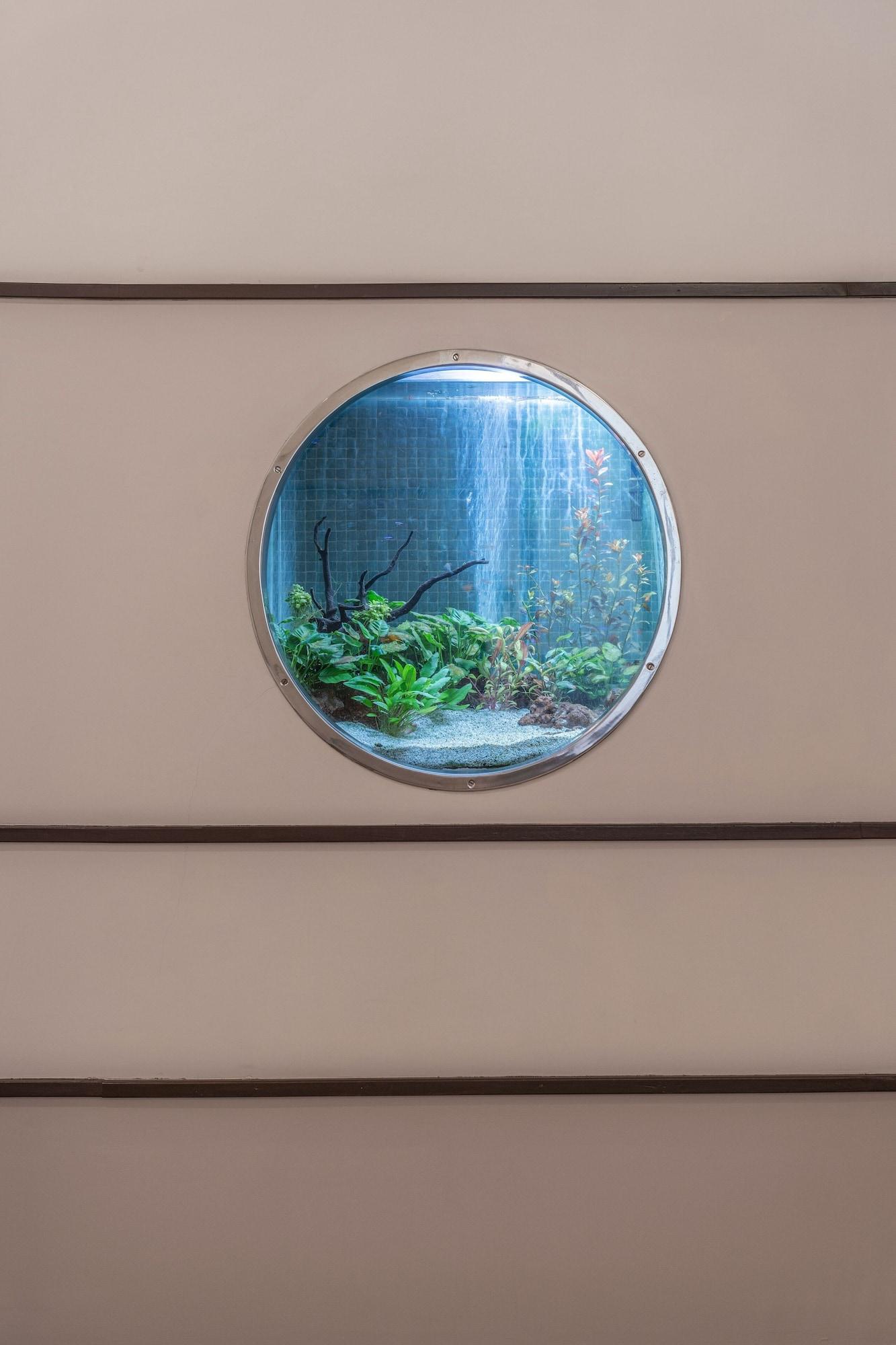 Double or Twin Room,1437656071:JPEG