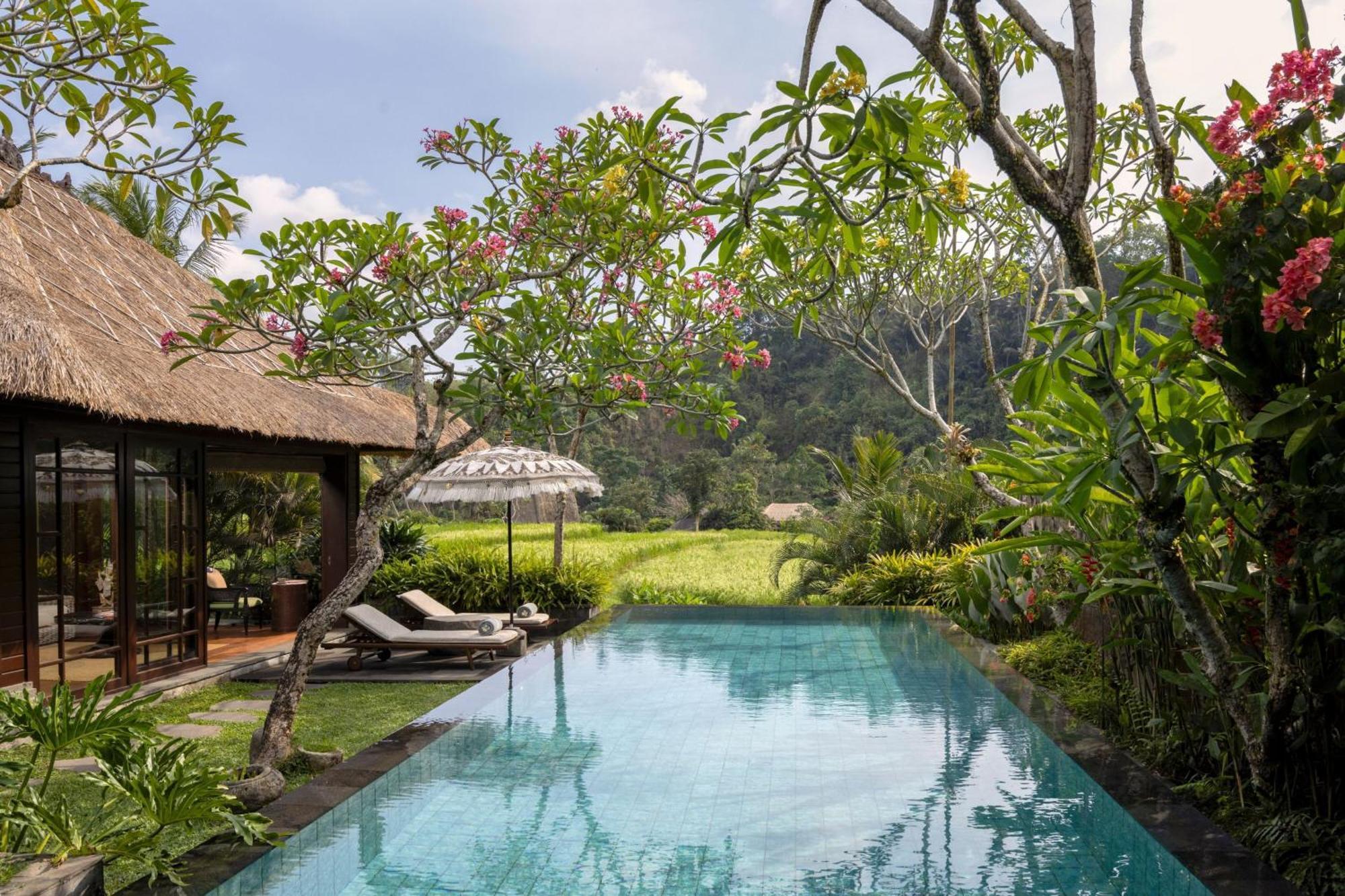 One Bedroom Ubud Pool Villa,1634435454:JPEG