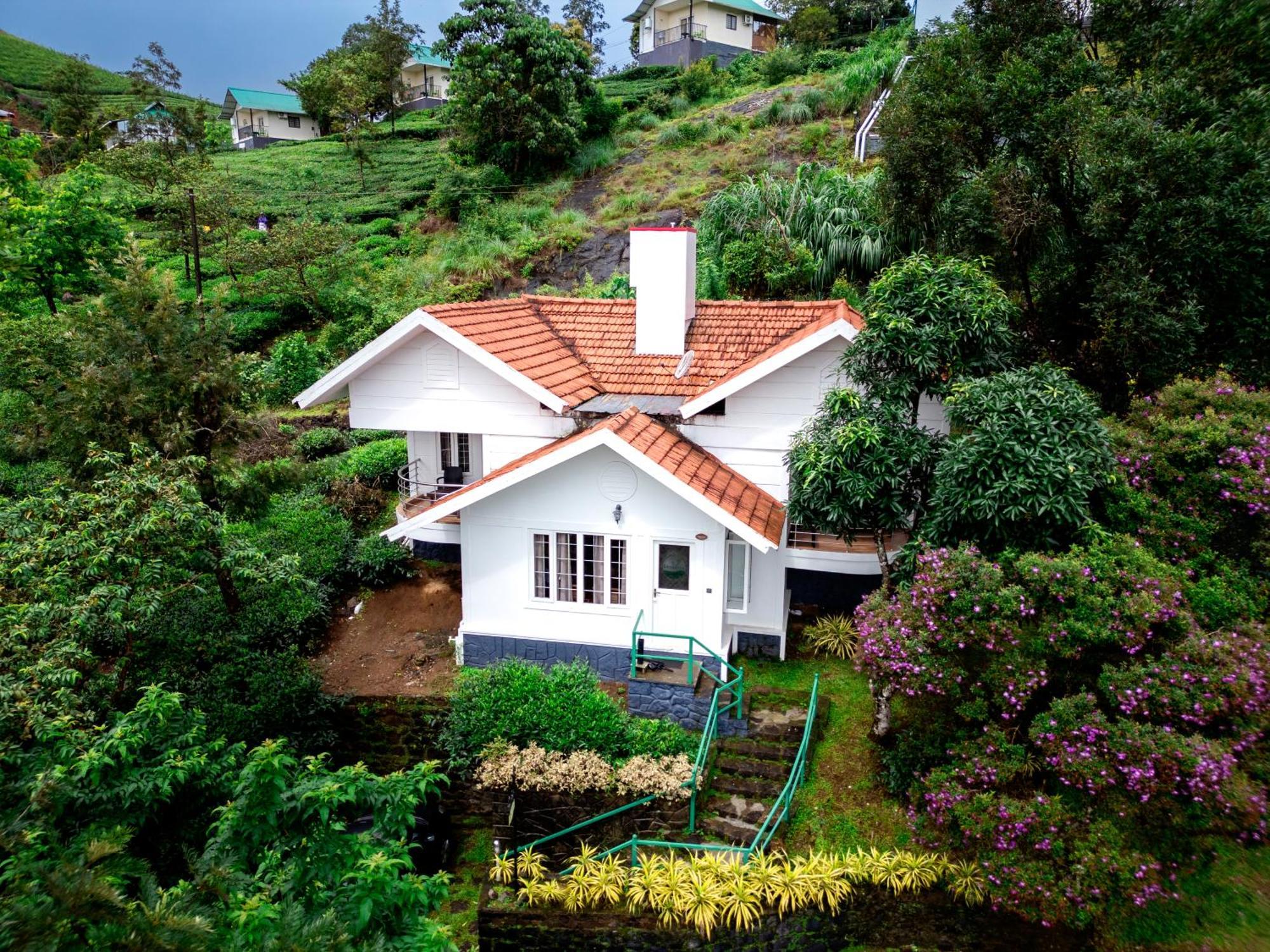 Standard Villa