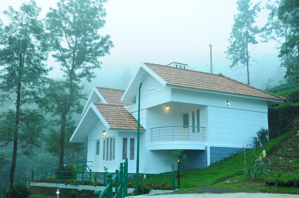 Standard Villa