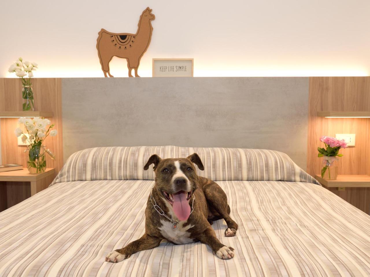 Superior Vierbettzimmer