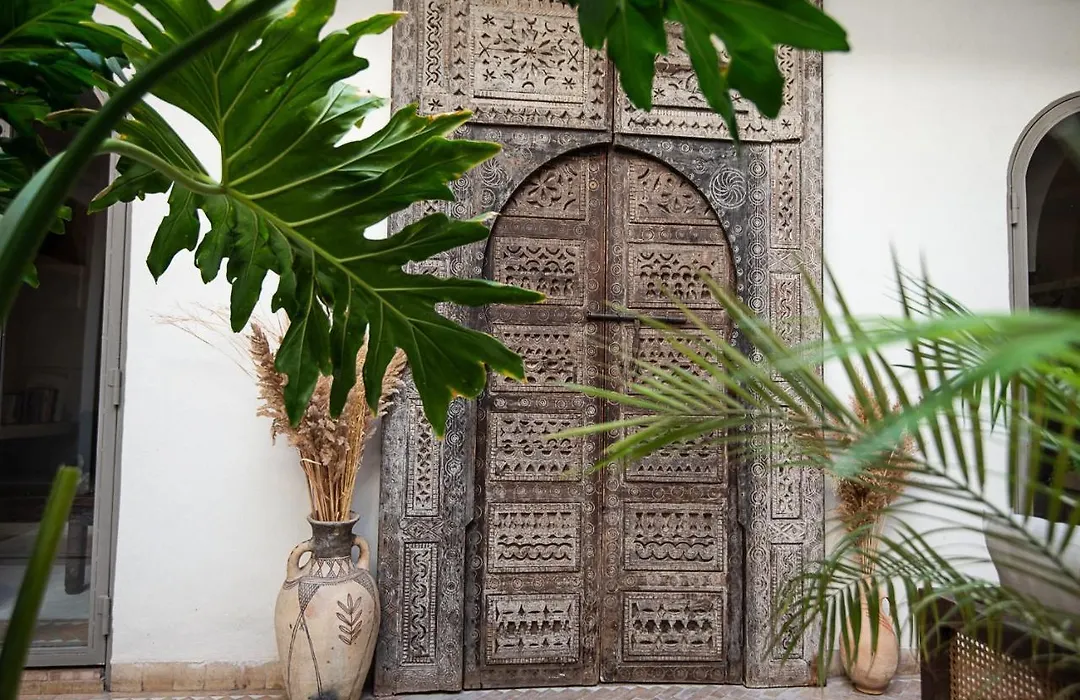 Riad Farhan-1
