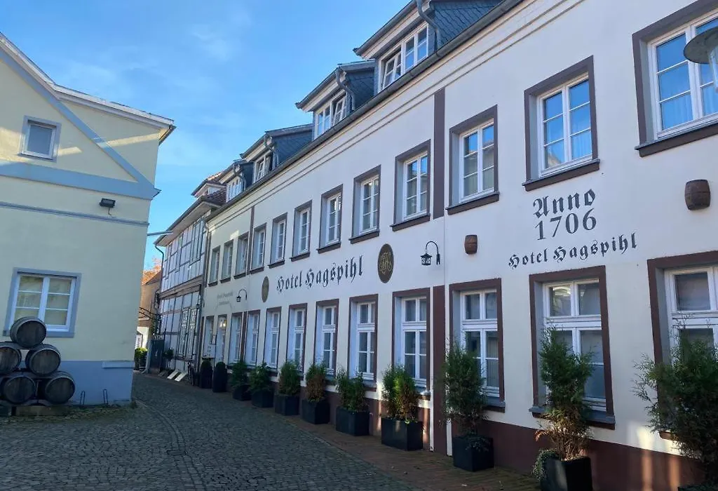 Hotel Hagspihl-1