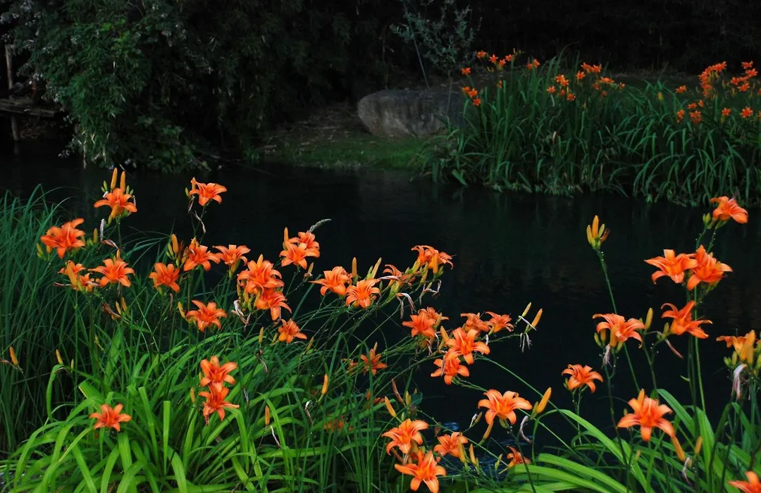 La Finestra Sul Fiume-1