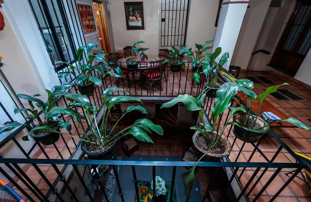 Hotel Rosa Mexicano-1