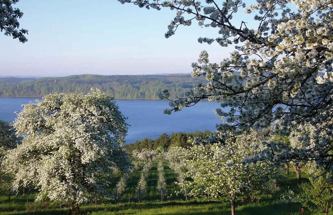 FX Mayr Zentrum Bodensee-1