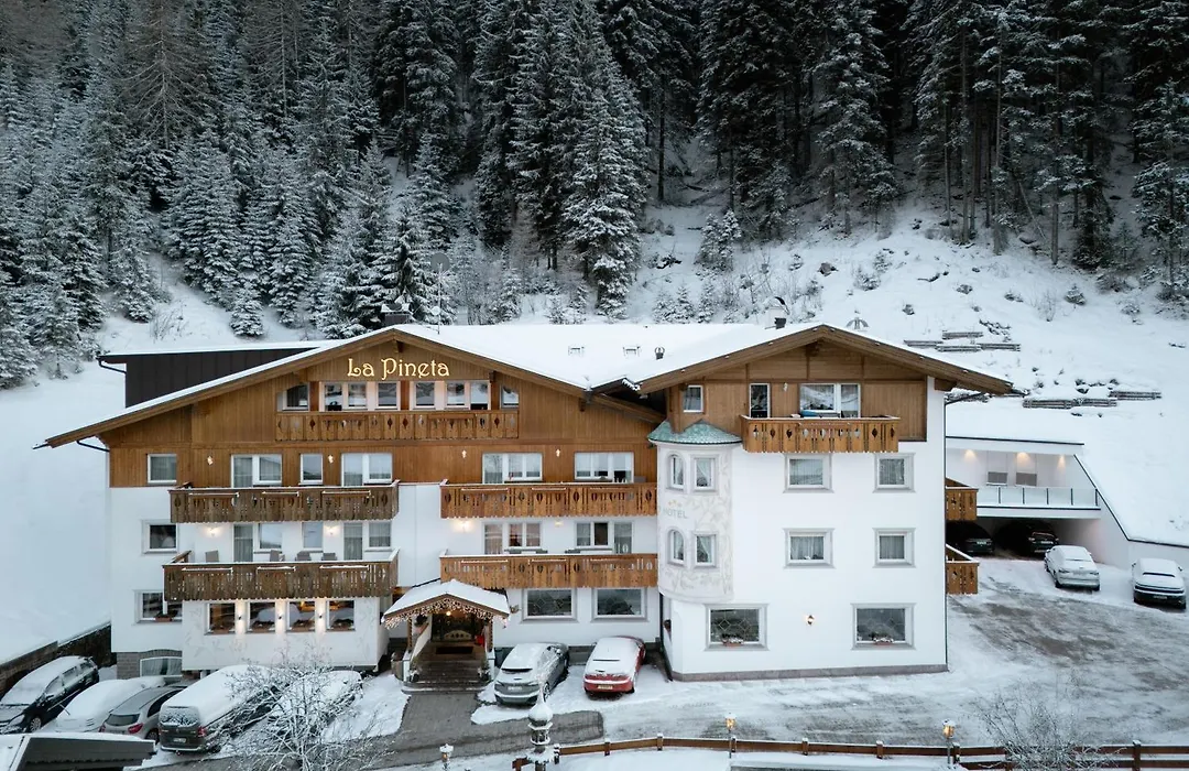 Hotel La Pineta-1