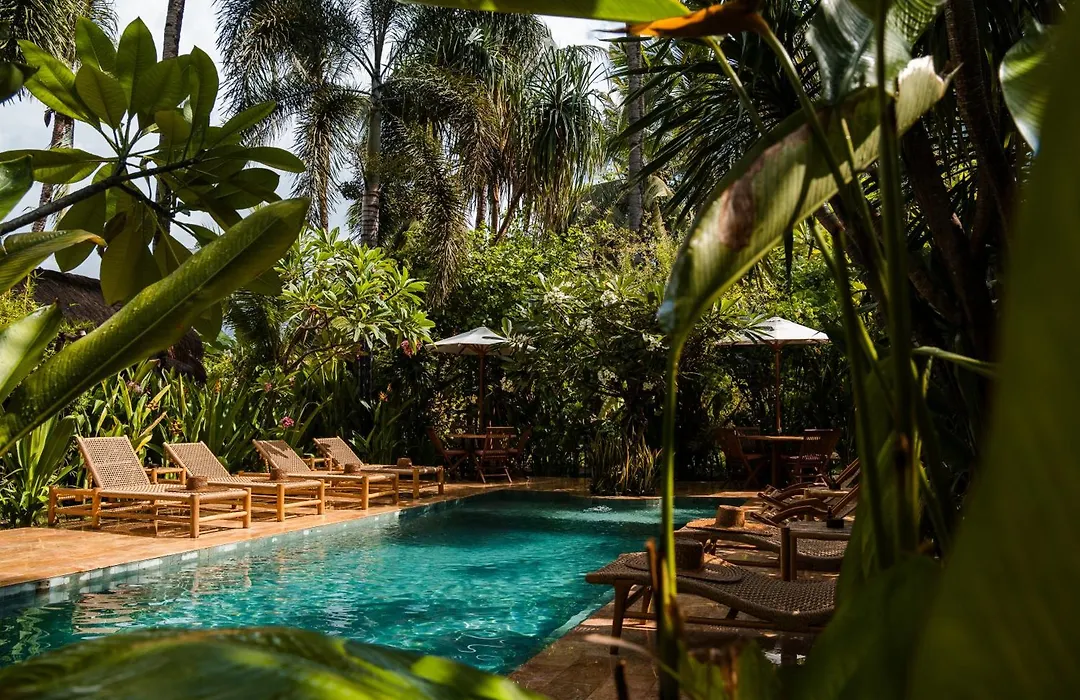Selvatica-1
