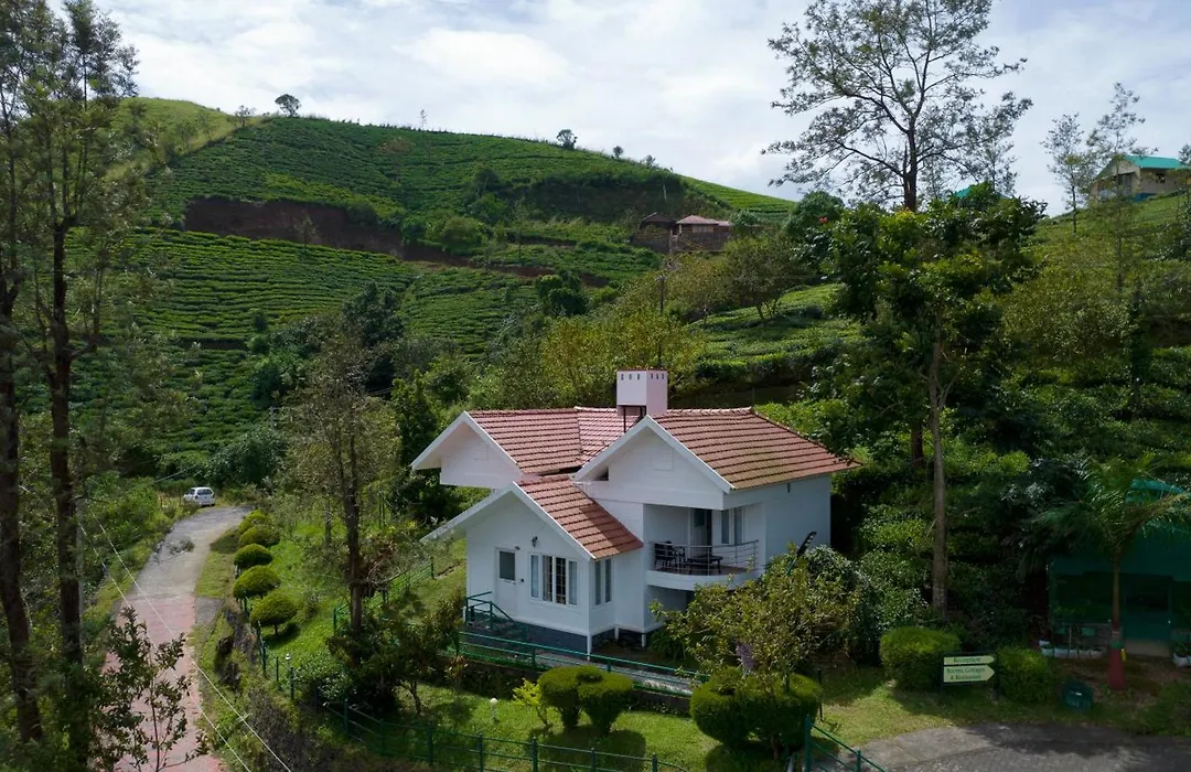 Falcon Crest-1