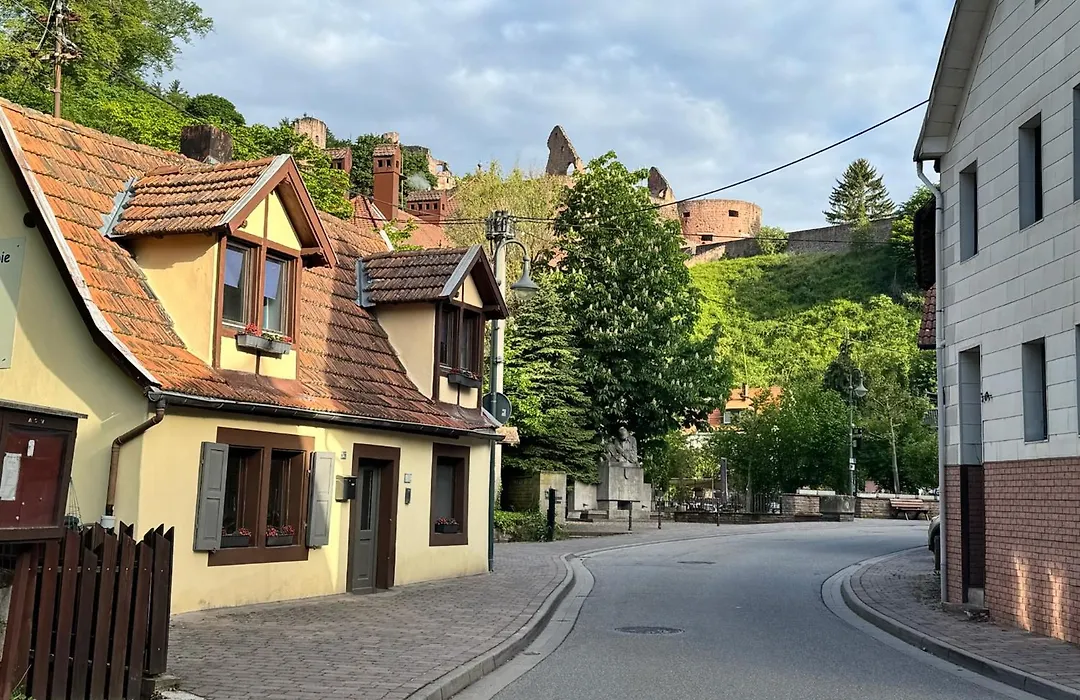 Die Alte Schmelz-1
