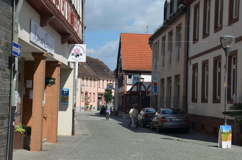 Hotel Schwartzer Löwe-1