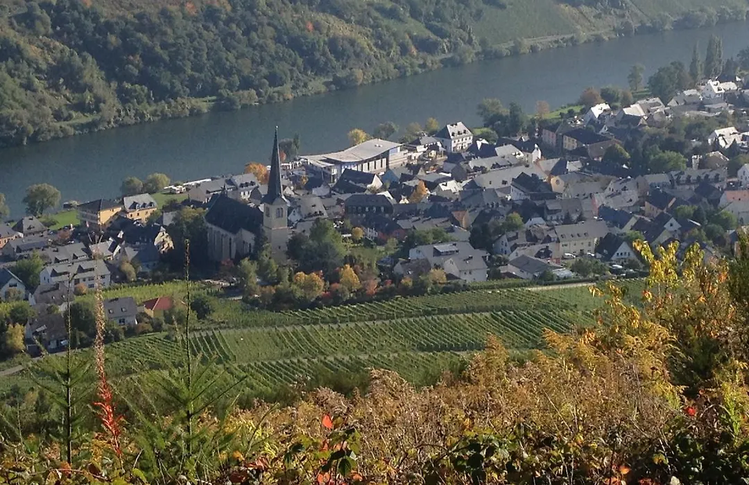 Hotel Springiersbacher-Hof-1
