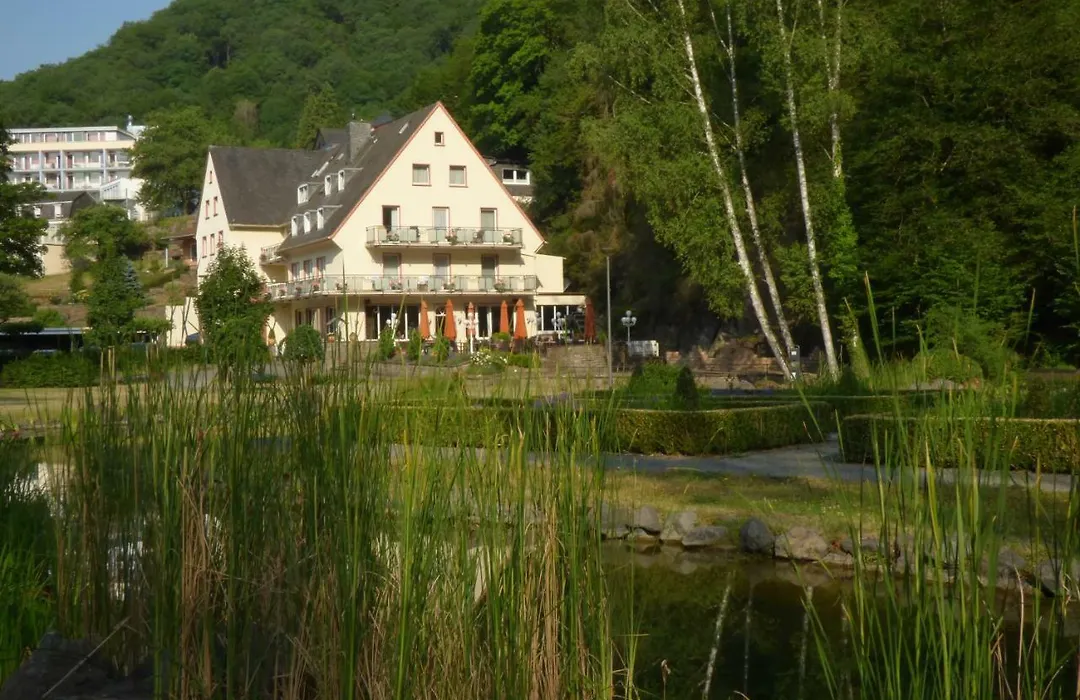 Hotel Alte Muehle-1