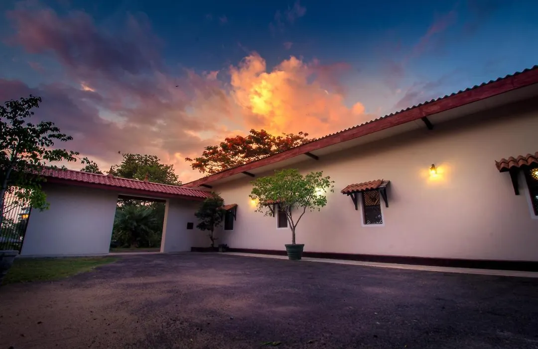 The Buena Vista Kandy-1