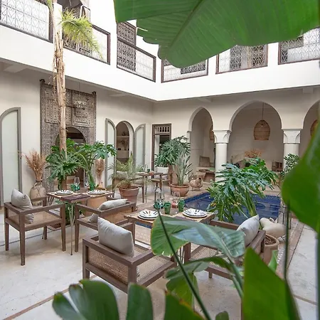Riad Farhan-3