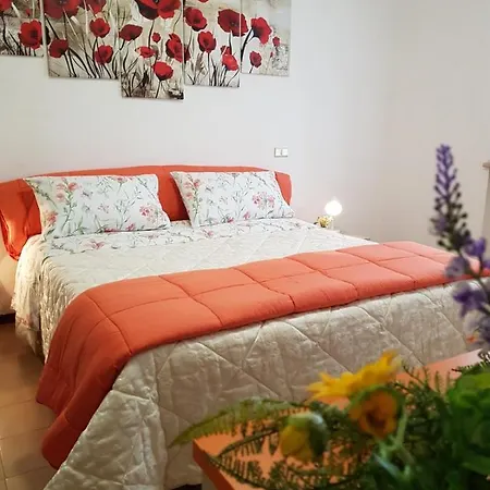 Mayflowers B&B Zona Ospedale Cisanello Pisa-2