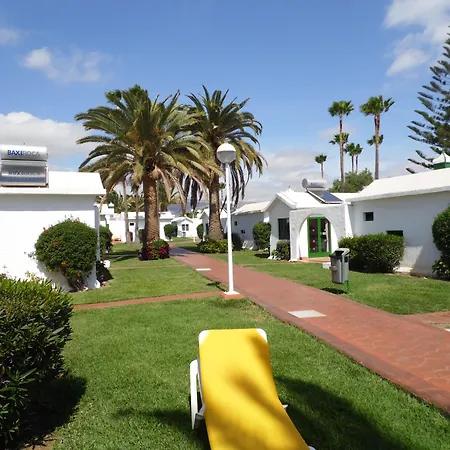 Canary Garden Club-3