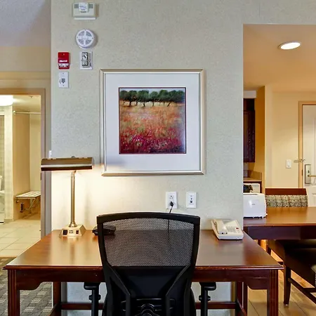 Homewood Suites By Hilton Toronto Mississauga-2