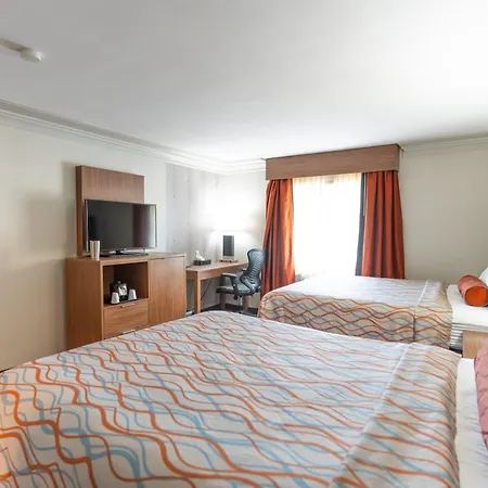 Kalika Hotel-2