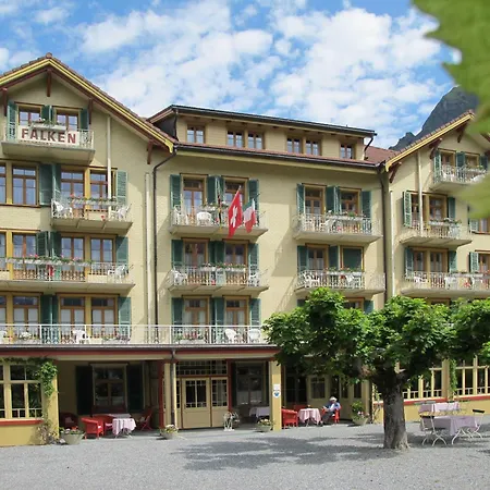 Historic Hotel Falken-2
