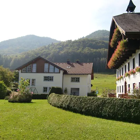 Pension Hohenau-3