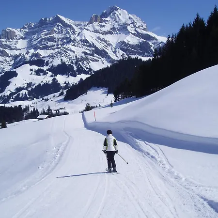 Hotel Des Alpes-3