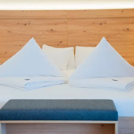 Hotel Alpina-2