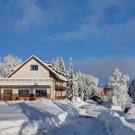 Boedele Alpenhotel-2