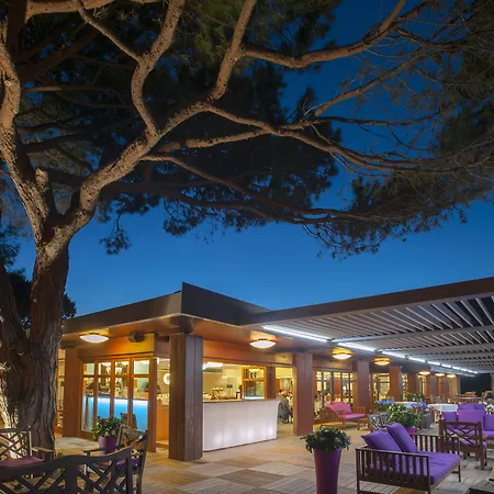 Hotel & Lodges Moby Dick-2