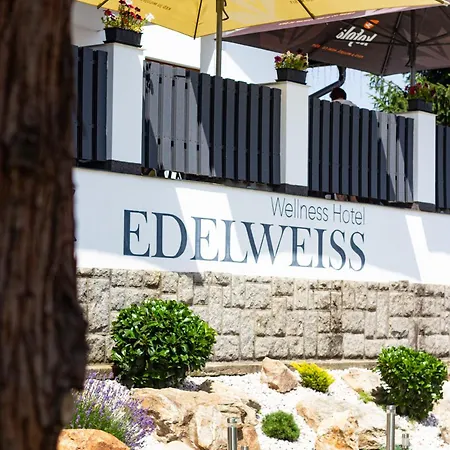 Wellness Hotel Edelweiss-2