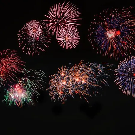 Pension Pauly-2