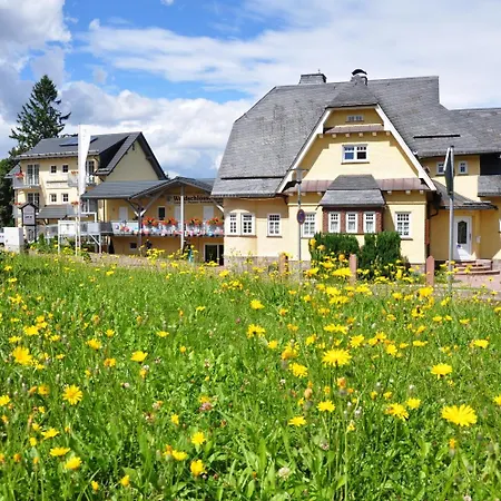 Pension Waldschloesschen-3