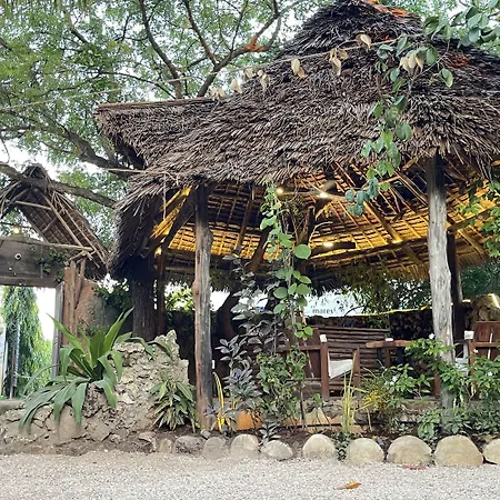 Atii Garden Bungalows-3