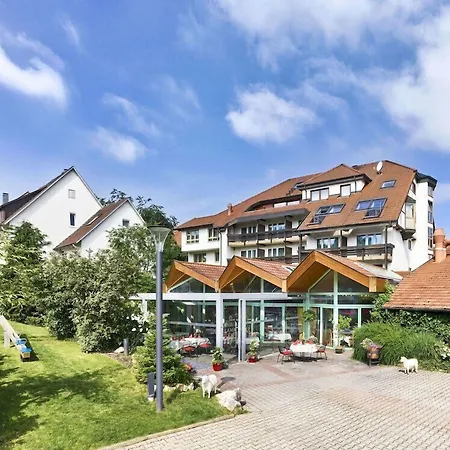 Hotel Lamm-3