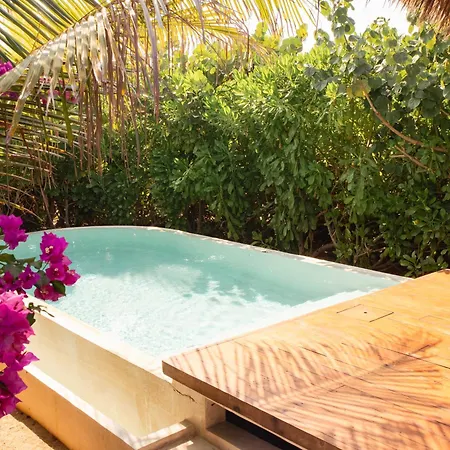 Aldea Mizul - Beach Front - Adults Only-2