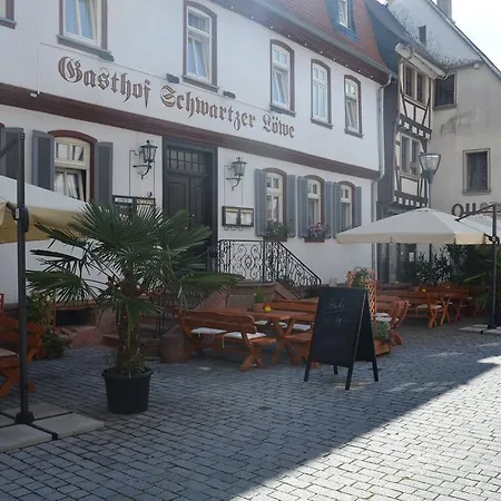 Hotel Schwartzer Löwe-2