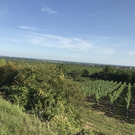 Landhotel Kallstadt-2