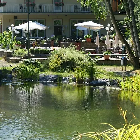 Hotel Alte Muehle-3