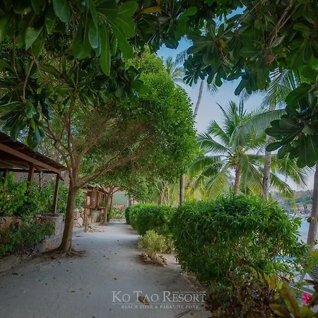 Ko Tao Resort - Beach Zone-3