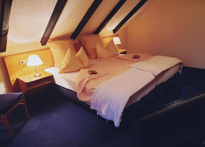 Haustierfreundliches Hotel: Hotel Klinger