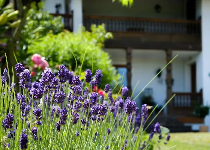 Gästehaus: Gaestehaus Hofer