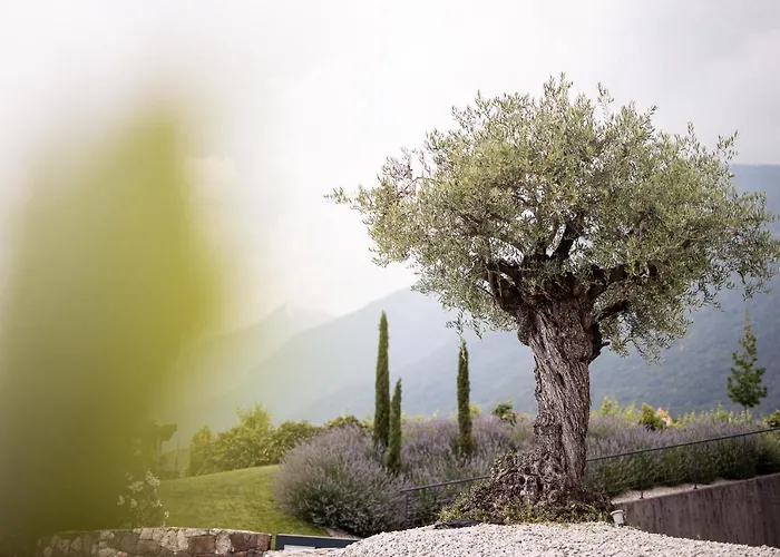 Ferienvermietung: Villa Pernstich - Modern Apartments