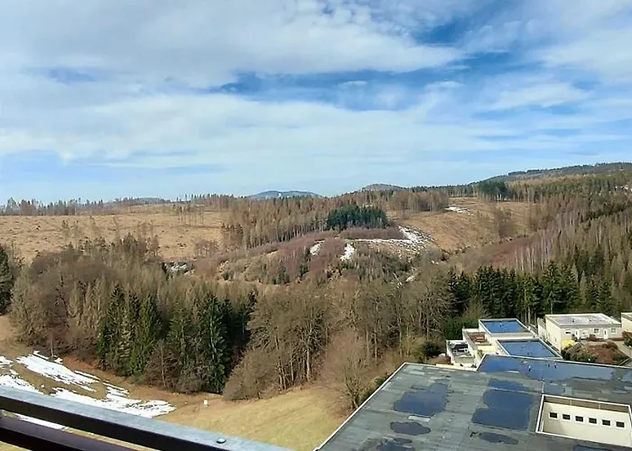 Panoramic Apartments Hohegeiß