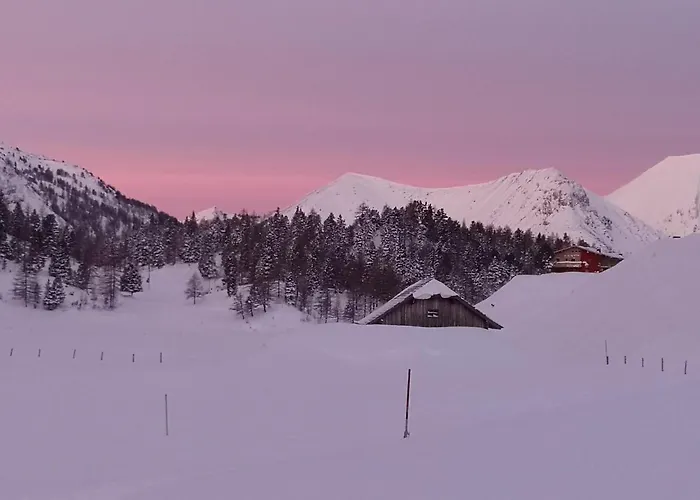 Günstiges Hotel: Tauernhaus Wisenegg