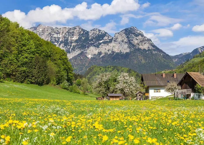 Anfanglehen