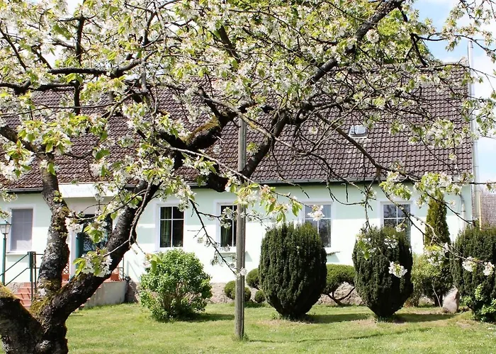 Pension Gestüt Lindenhof