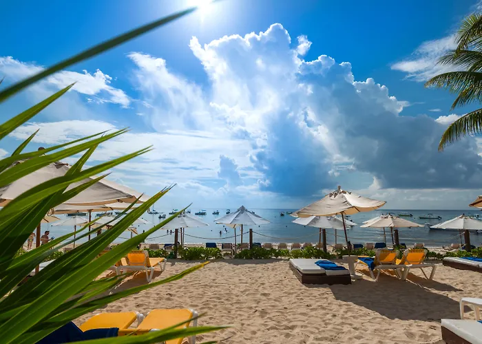 4-Sterne-Hotel: The Reef Coco Beach Resort & Spa