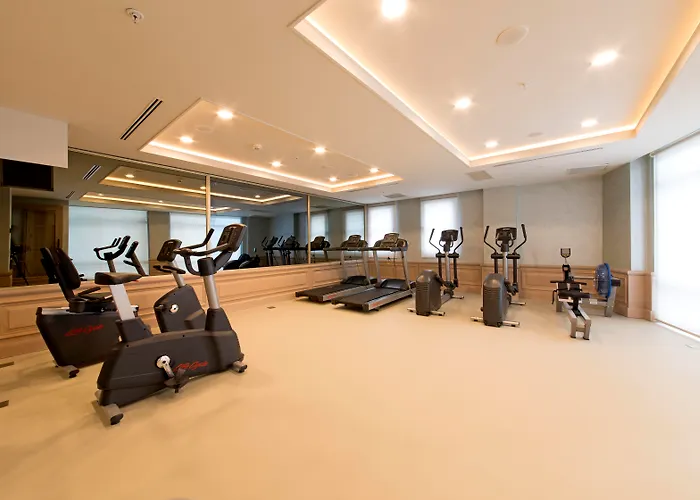 Haustierfreundliches Hotel: Millennium Istanbul Golden Horn