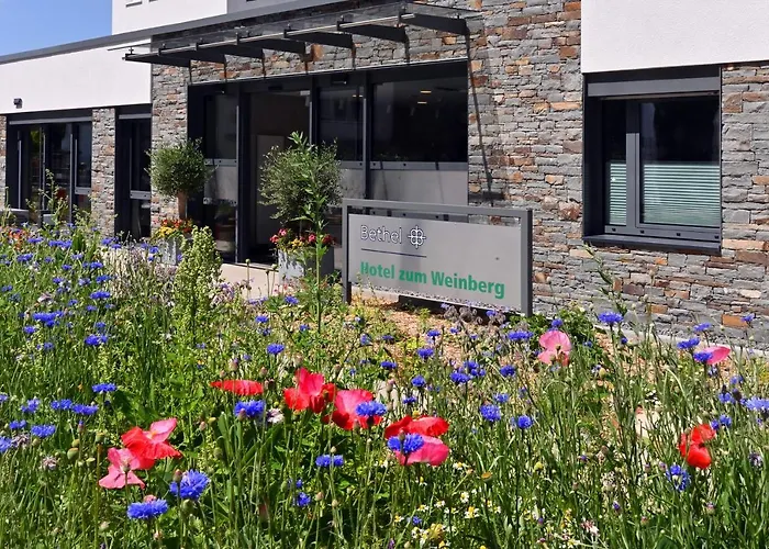 Hotel mit Aussicht: Bethel Hotel zum Weinberg