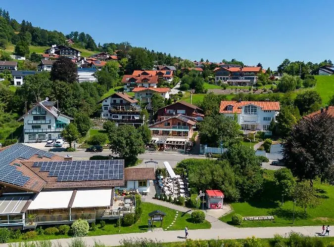 Hotel nahe College: Hotel San Marco